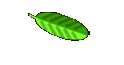 Einkaufen