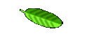 Impressum