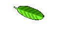 Rucherstoffe