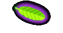 Waschnussschalen